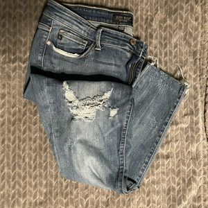 Judy Blue Skinny Jeans